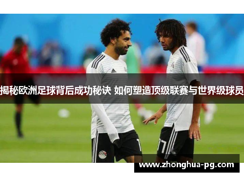 揭秘欧洲足球背后成功秘诀 如何塑造顶级联赛与世界级球员